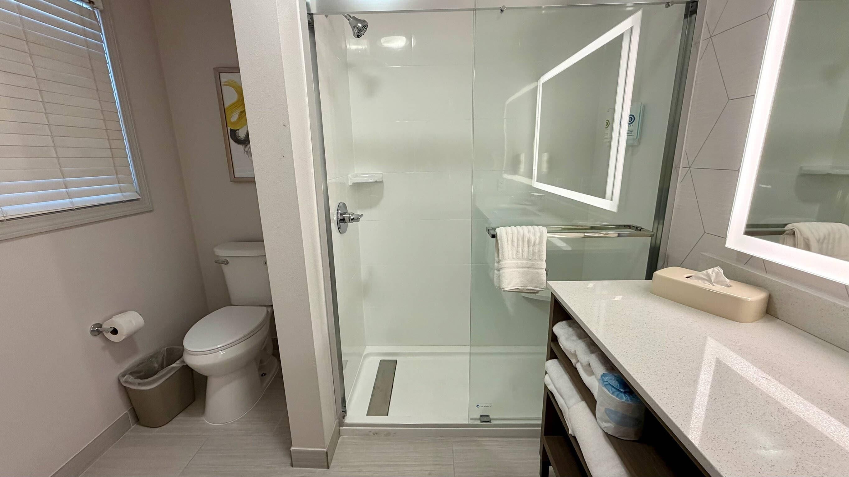 A modern bathroom with a glass shower enclosure, a toilet, and a vanity with a mirror.