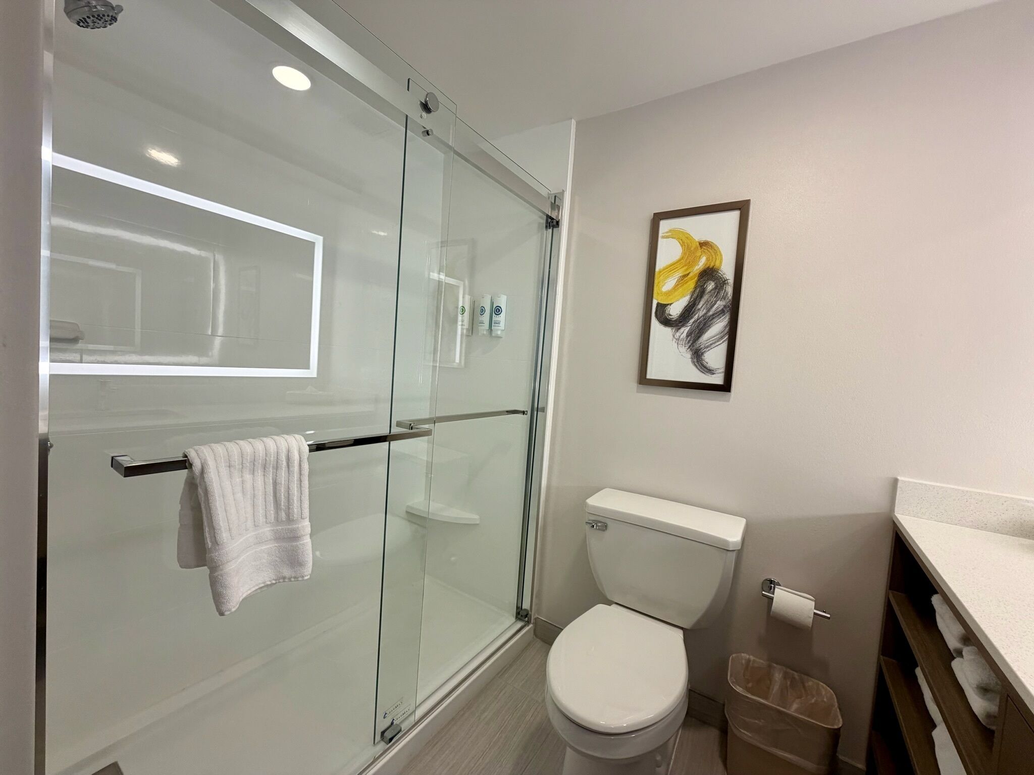A modern bathroom with a glass shower enclosure, a toilet, and a sink with a countertop.