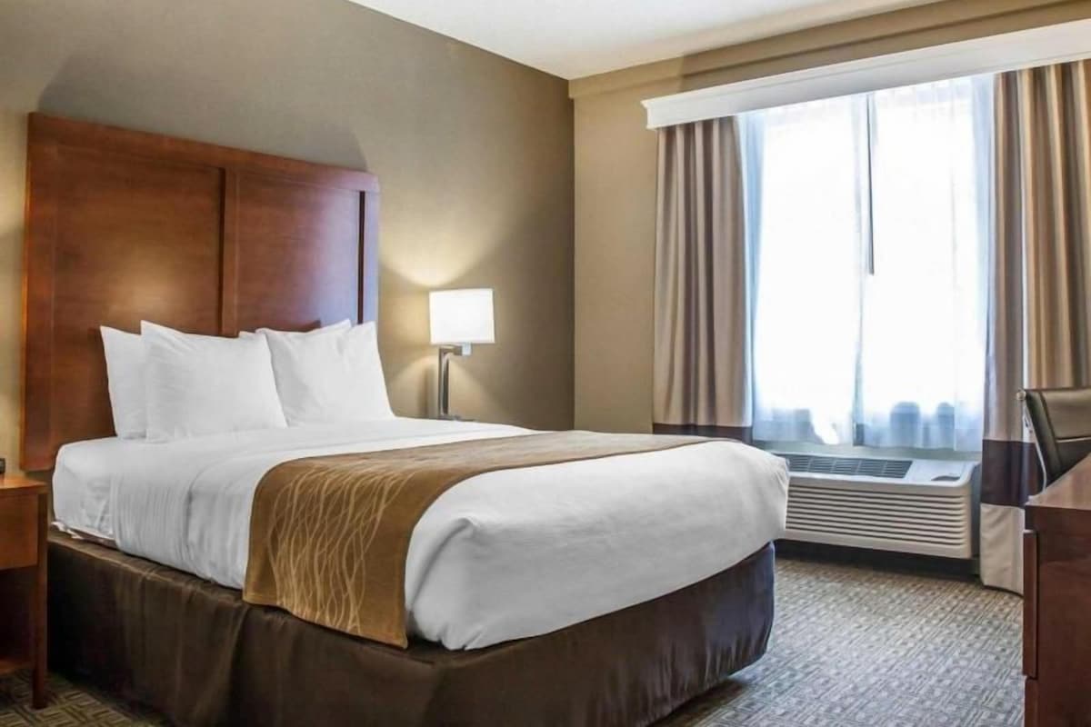 Une chambre d’hôtel avec un grand lit, une table de chevet avec une lampe, une fenêtre avec des rideaux et un appareil de climatisation.