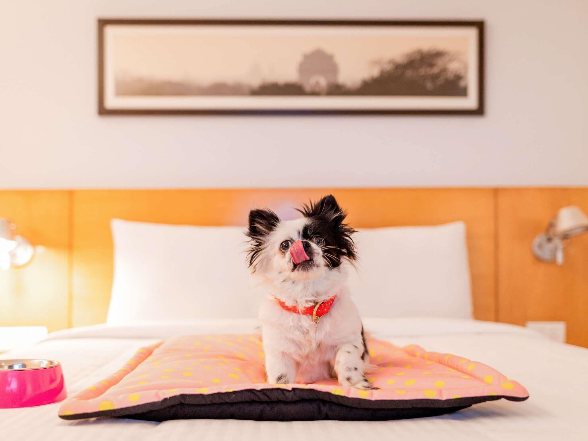 Standard Room, 1 Double Bed, Accessible | Desk, blackout drapes, soundproofing, iron/ironing board
