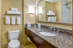 A bathroom with a toilet, sink, and towel racks. - Holiday Inn Indianapolis Carmel by IHG (Indianapolis)