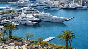 A marina with multiple yachts docked, surrounded by palm trees and a paved walkway.