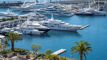 Un port de plaisance où sont amarrés de nombreux yachts, entouré de palmiers et bordé d’une promenade pavée.