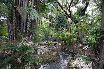 Point of interest at Hyatt Regency Coral Gables