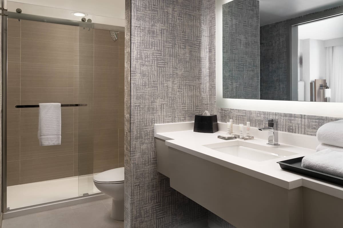 combined shower/bathtub, free toiletries, hair dryer, towels