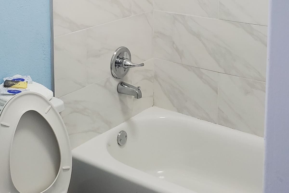 combined shower/bathtub, free toiletries, hair dryer, towels