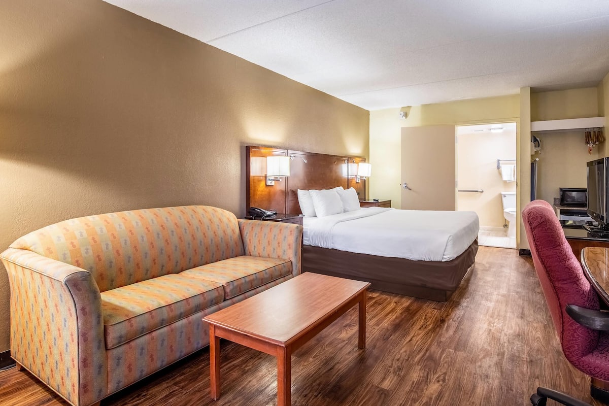 Room, 1 King Bed, Accessible, Non Smoking (Efficiency)