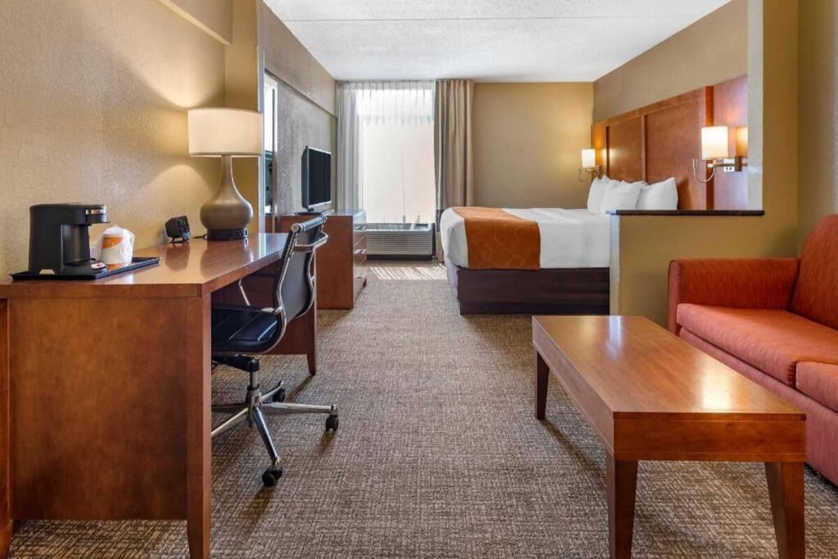 A hotel room with a bed, desk, chair, and a sofa.