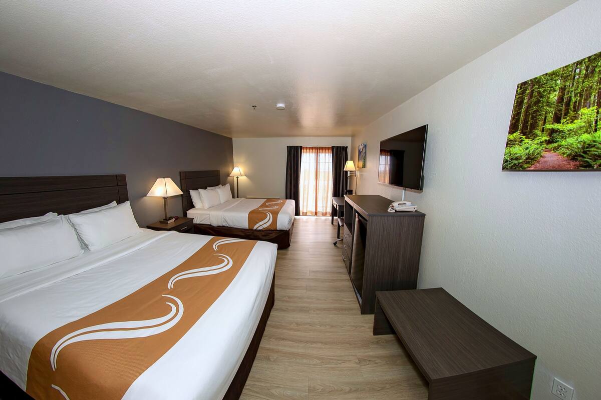 Een hotelkamer met twee bedden, een bureau, een televisie en een boslandschap op een schilderij.