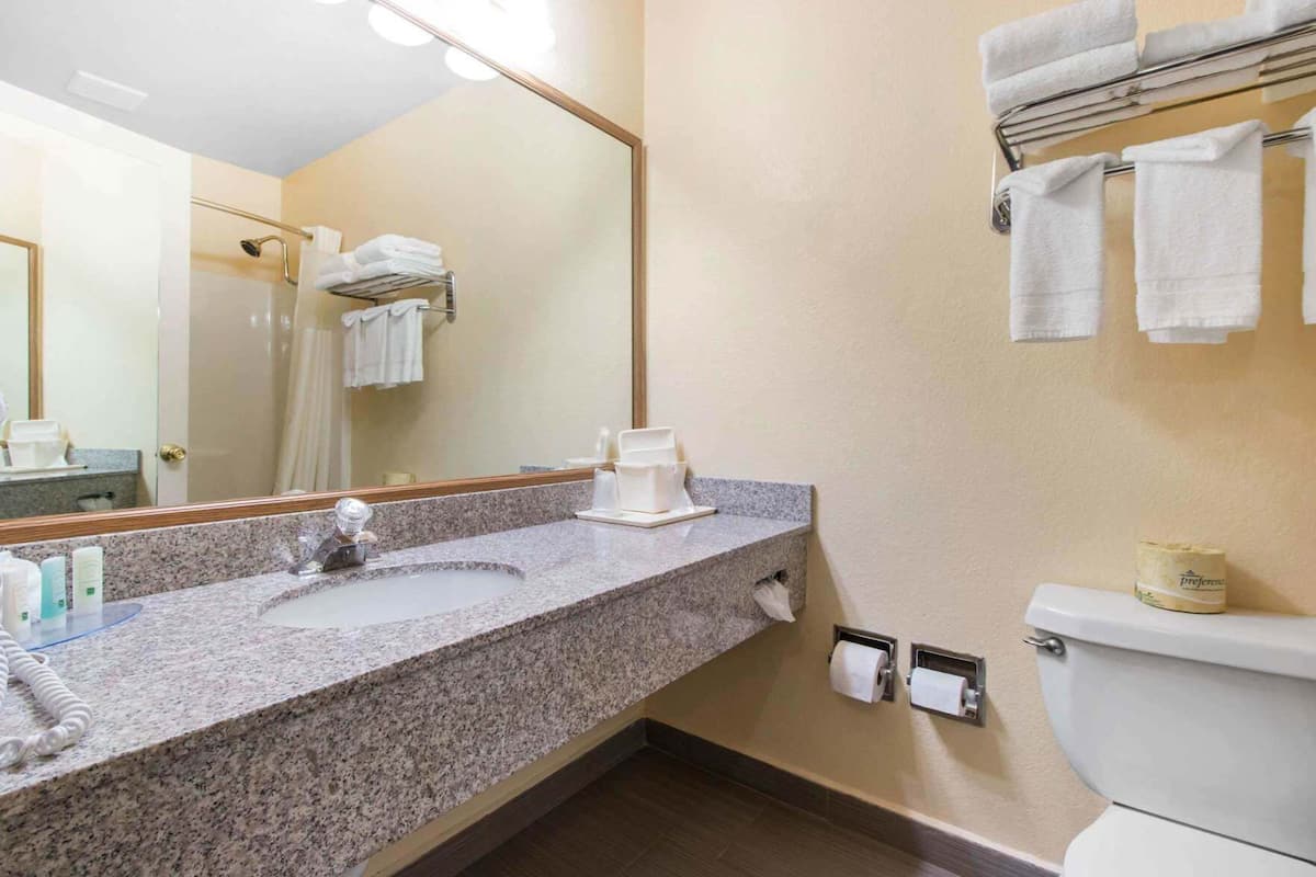 Een badkamer met een wastafel met granieten blad, een spiegel, een handdoekhouder, een toilet en een keukenrolhouder.