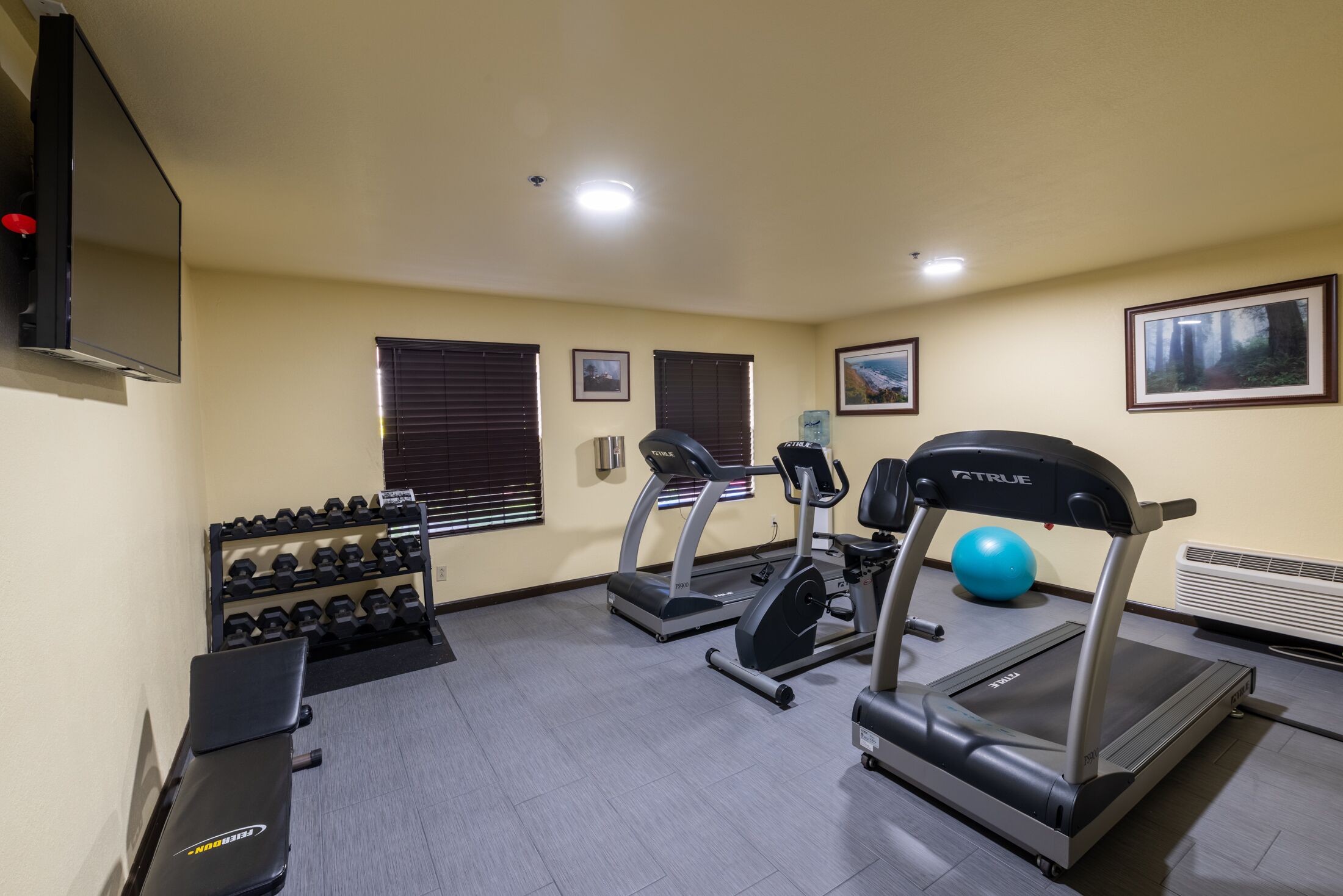Ein Fitnessstudio mit Laufbändern, Kurzhanteln und Gymbällen.