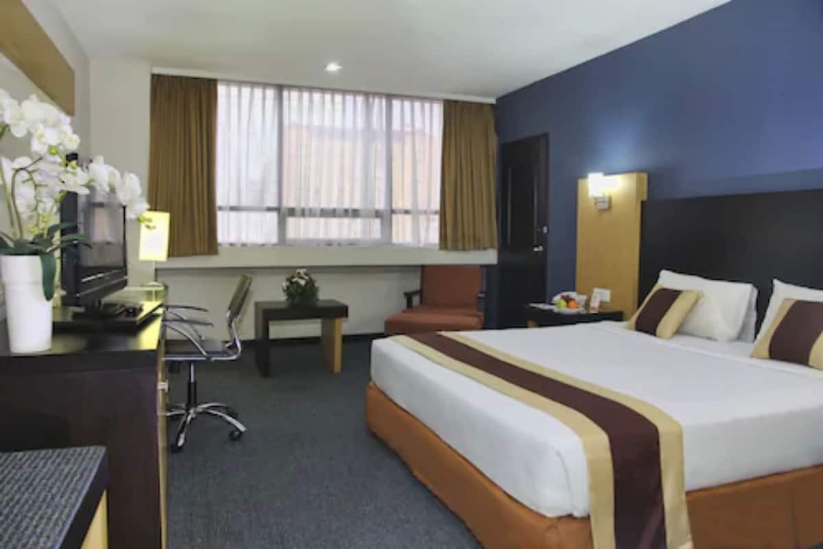 A hotel room with a large bed, a desk with a computer, a chair, a small table with a plant, and a window with curtains.