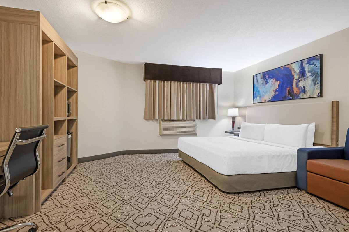 Standard Room, 1 King Bed, Accessible, Refrigerator & Microwave (Walk-in Shower;with Sofabed) | Desk, blackout drapes, iron/ironing board, rollaway beds (surcharge)