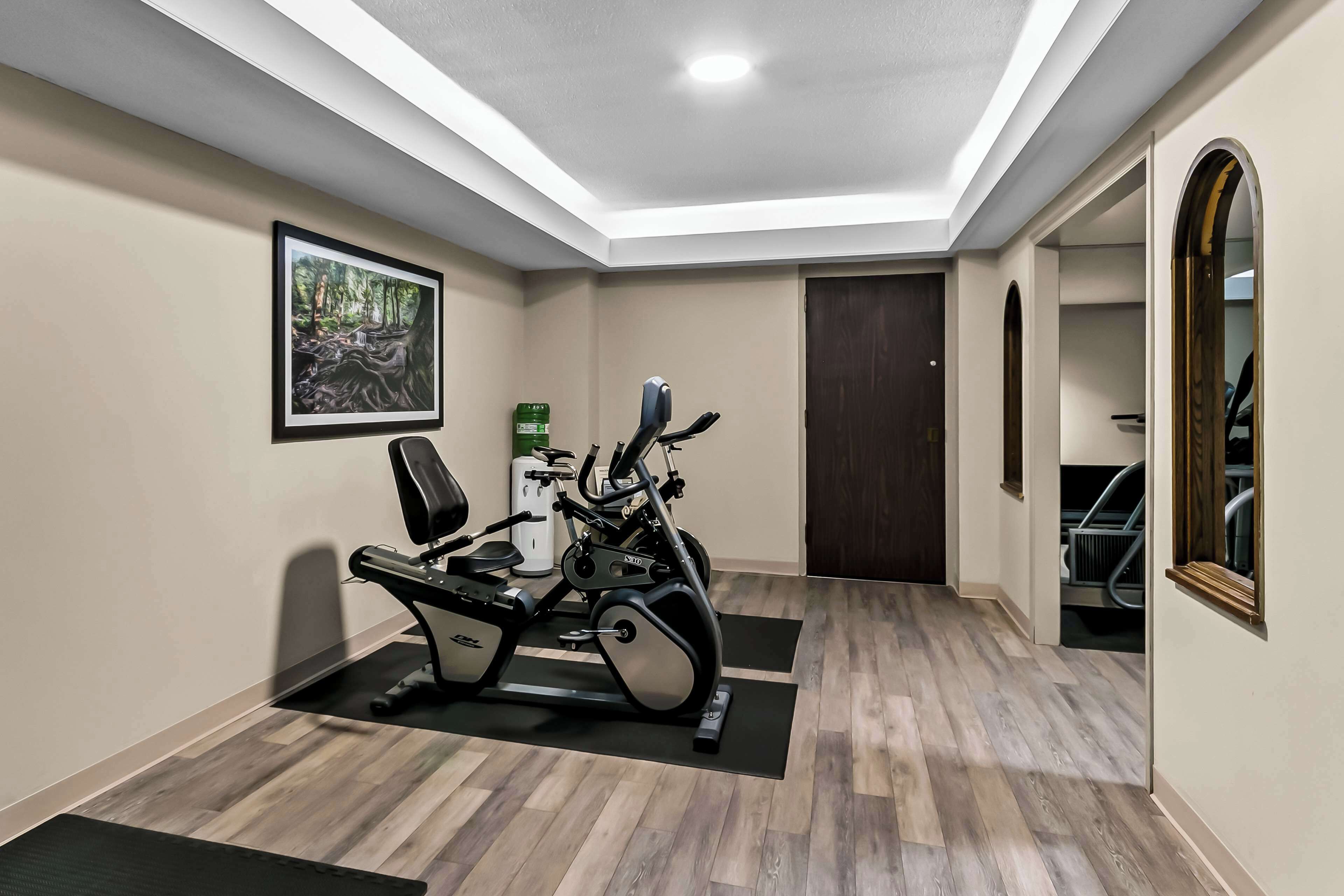 Un gimnasio en casa con una bicicleta estática, una cinta de correr y una máquina de ejercicio montada en la pared.