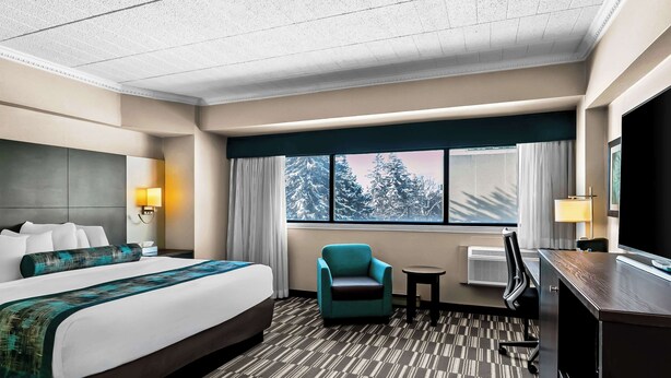 A hotel room with a large bed, a desk, a chair, and a window with a view of trees.