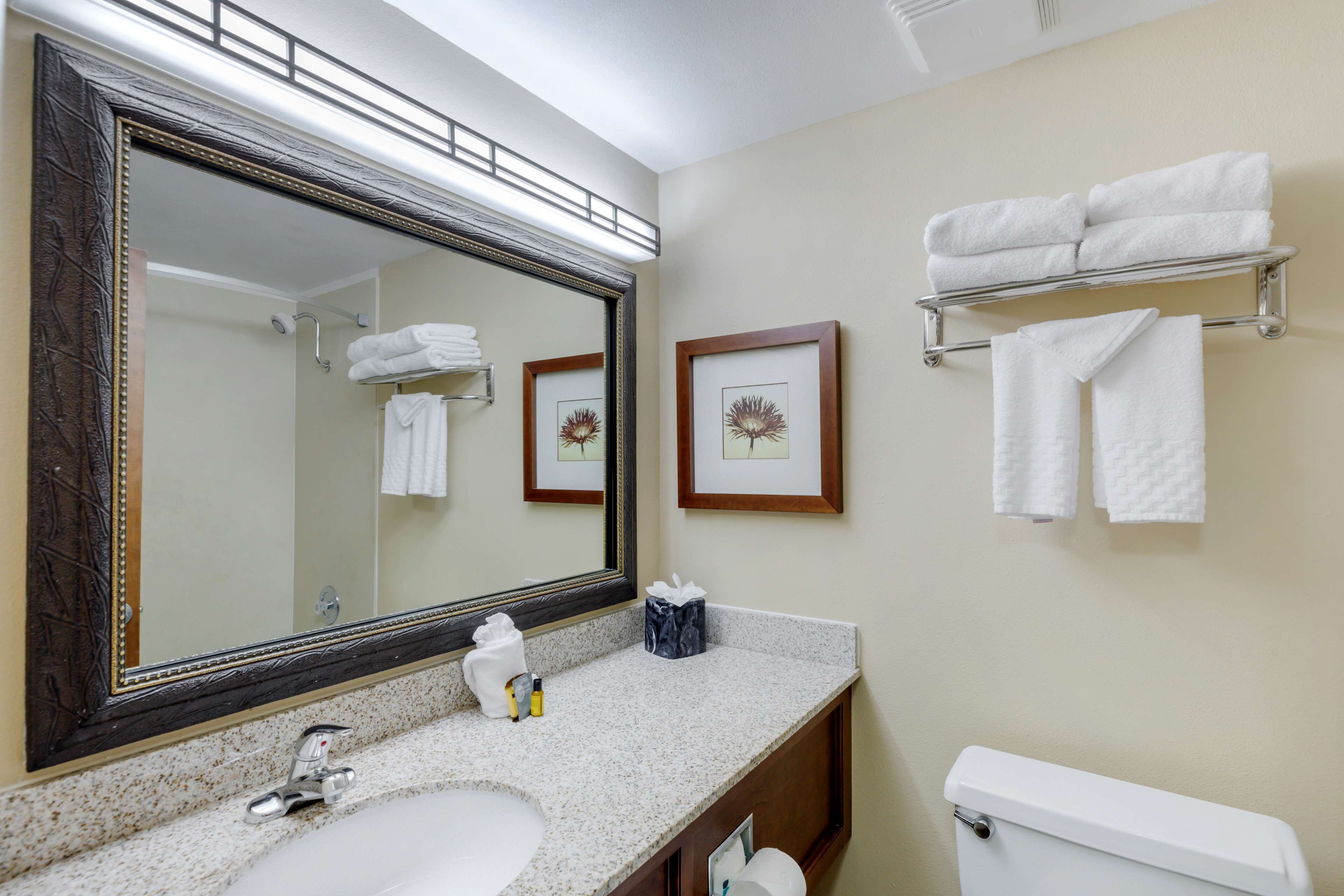 A bathroom with a large mirror, a sink, a toilet, and towel racks.