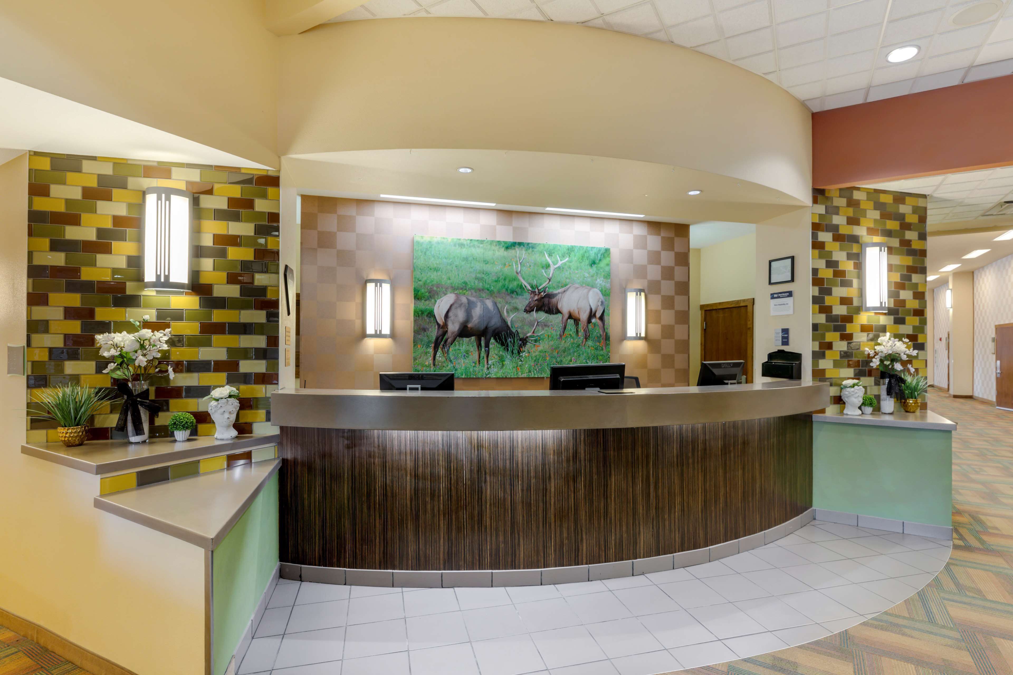 A reception desk with a large wildlife painting, a checkered wall, and a tiled floor.