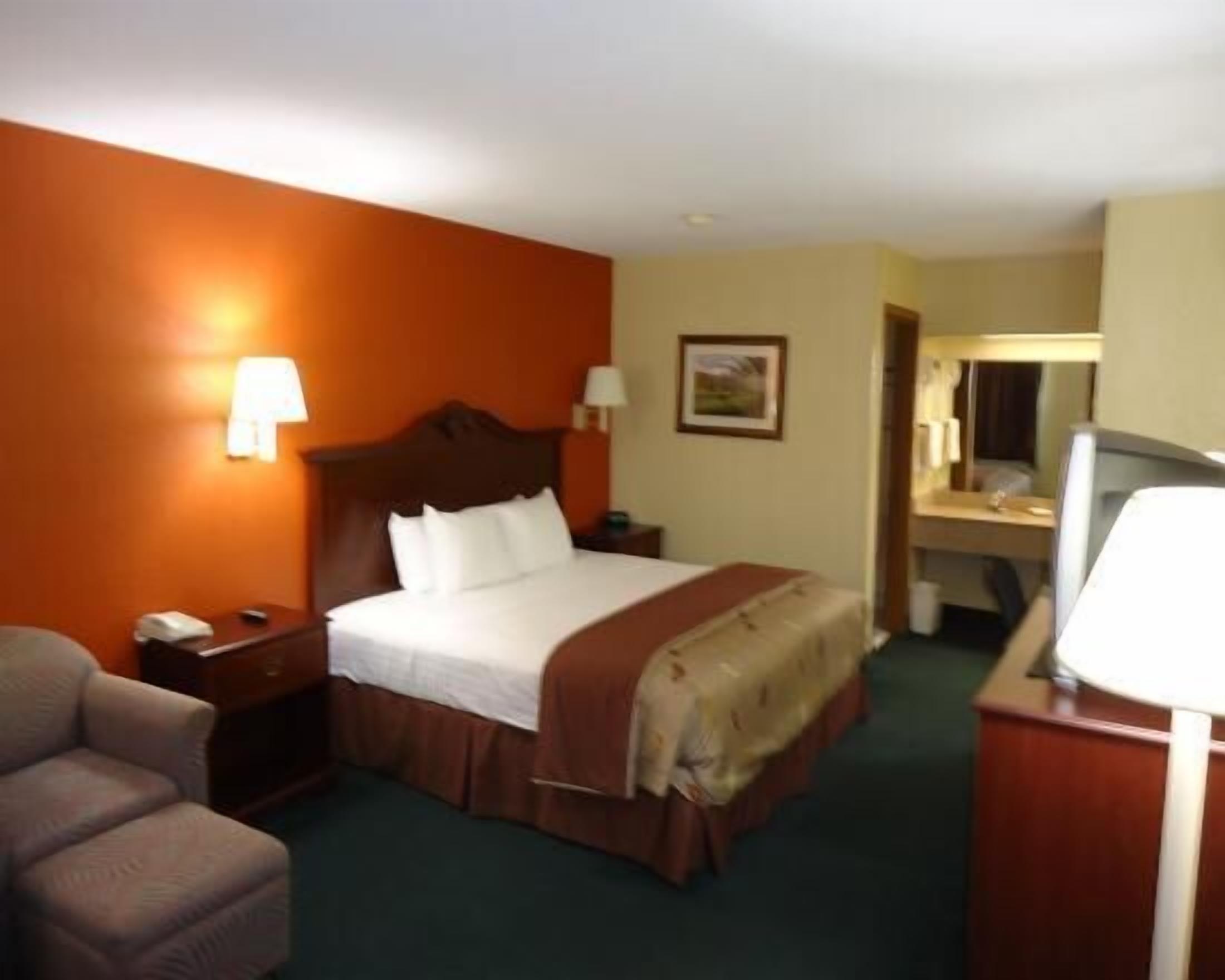Room, 1 King Bed, Non Smoking (Pet Friendly) | Iron/ironing board, free WiFi, alarm clocks