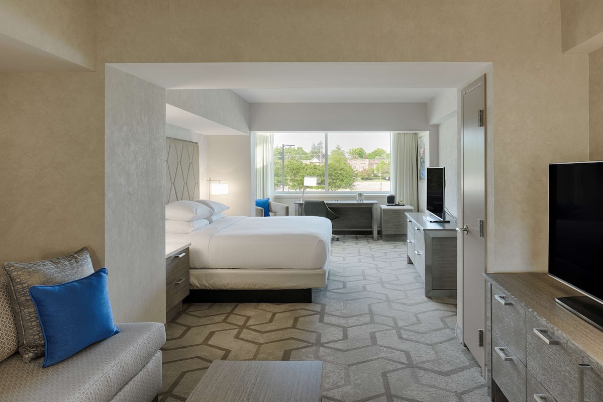 Suite estudio, 1 cama King size | Sábanas de algodón egipcio, ropa de cama de alta calidad y edredón