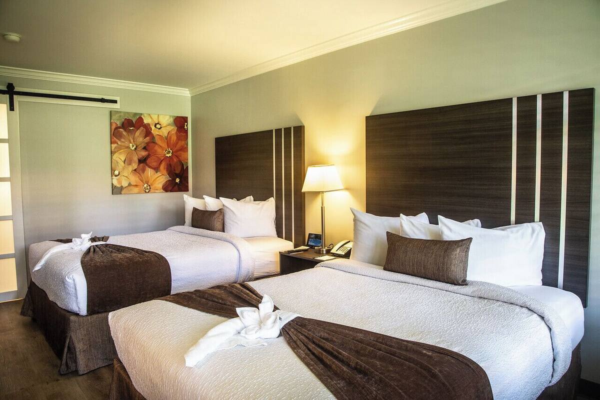 A hotel room with two beds, a painting on the wall, a lamp, and a telephone on the nightstand.