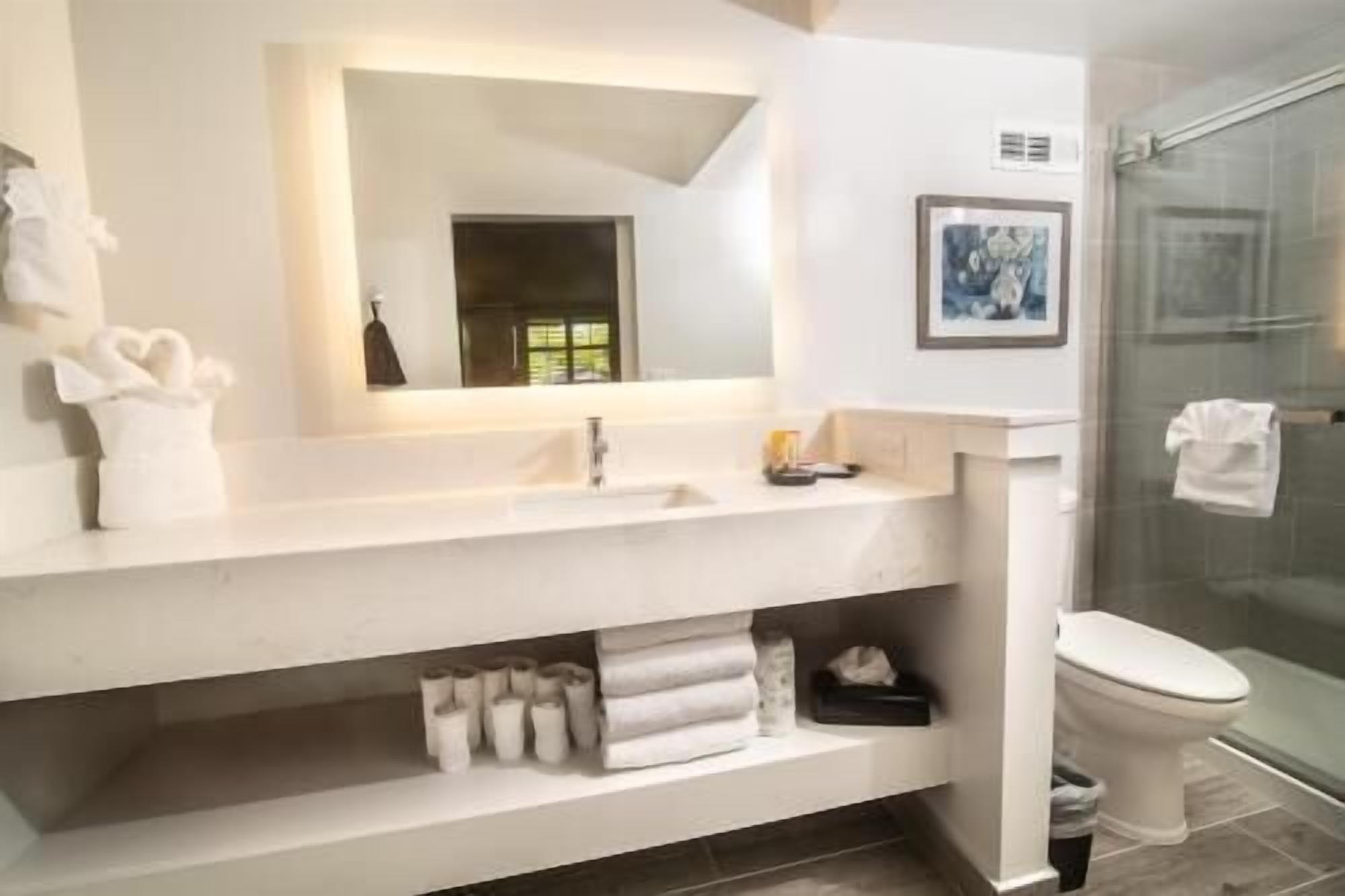 Baño | Amenidades de baño de diseñador, secadora de cabello, toallas, jabón 