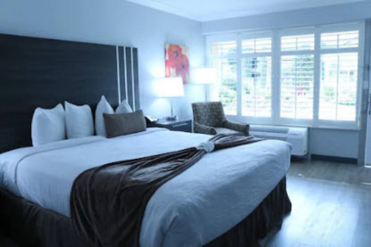 A modern hotel room with a large bed, a chair, a lamp, and a window with blinds.