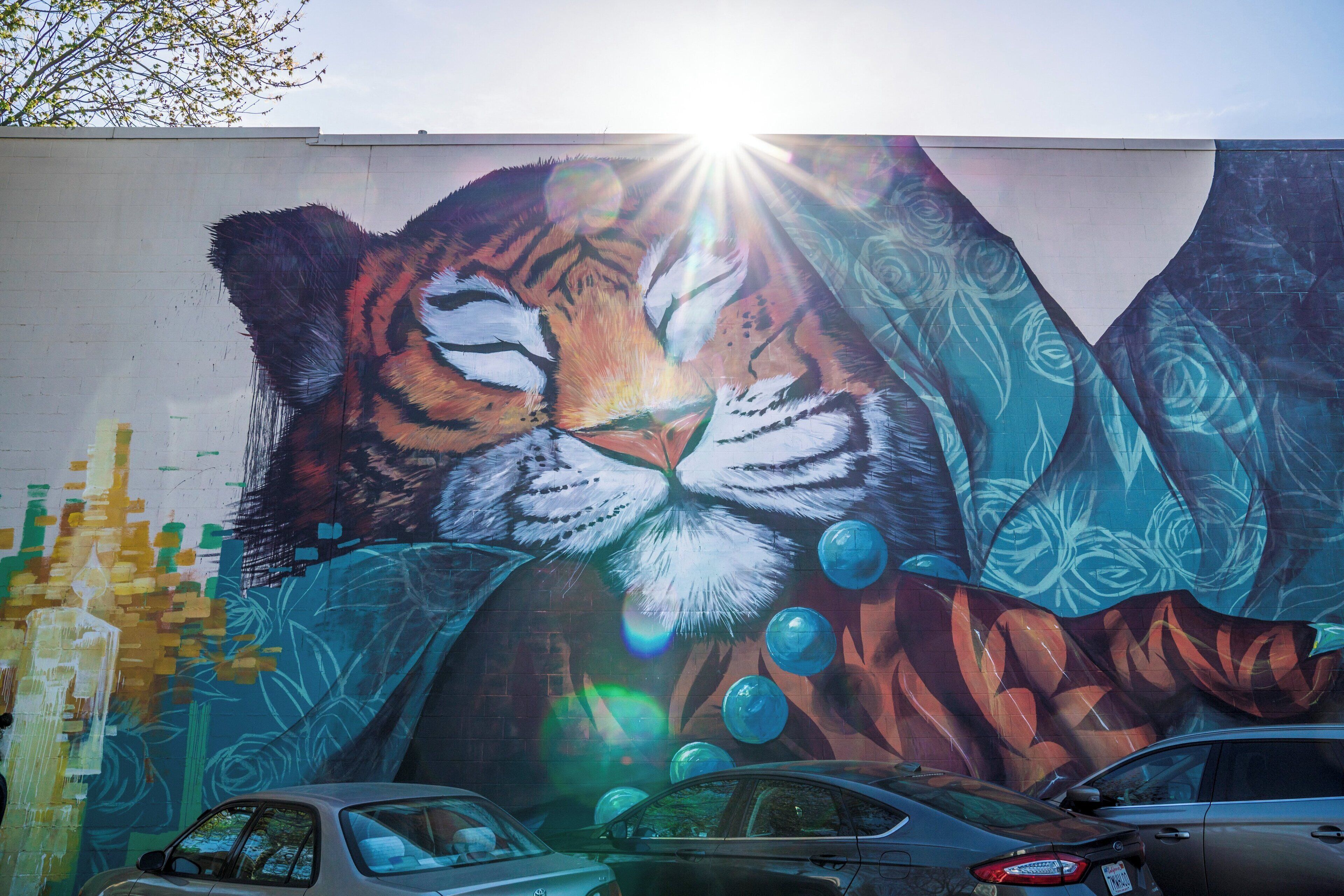 A mural of a tiger's face with bubbles and floral patterns on a building wall.