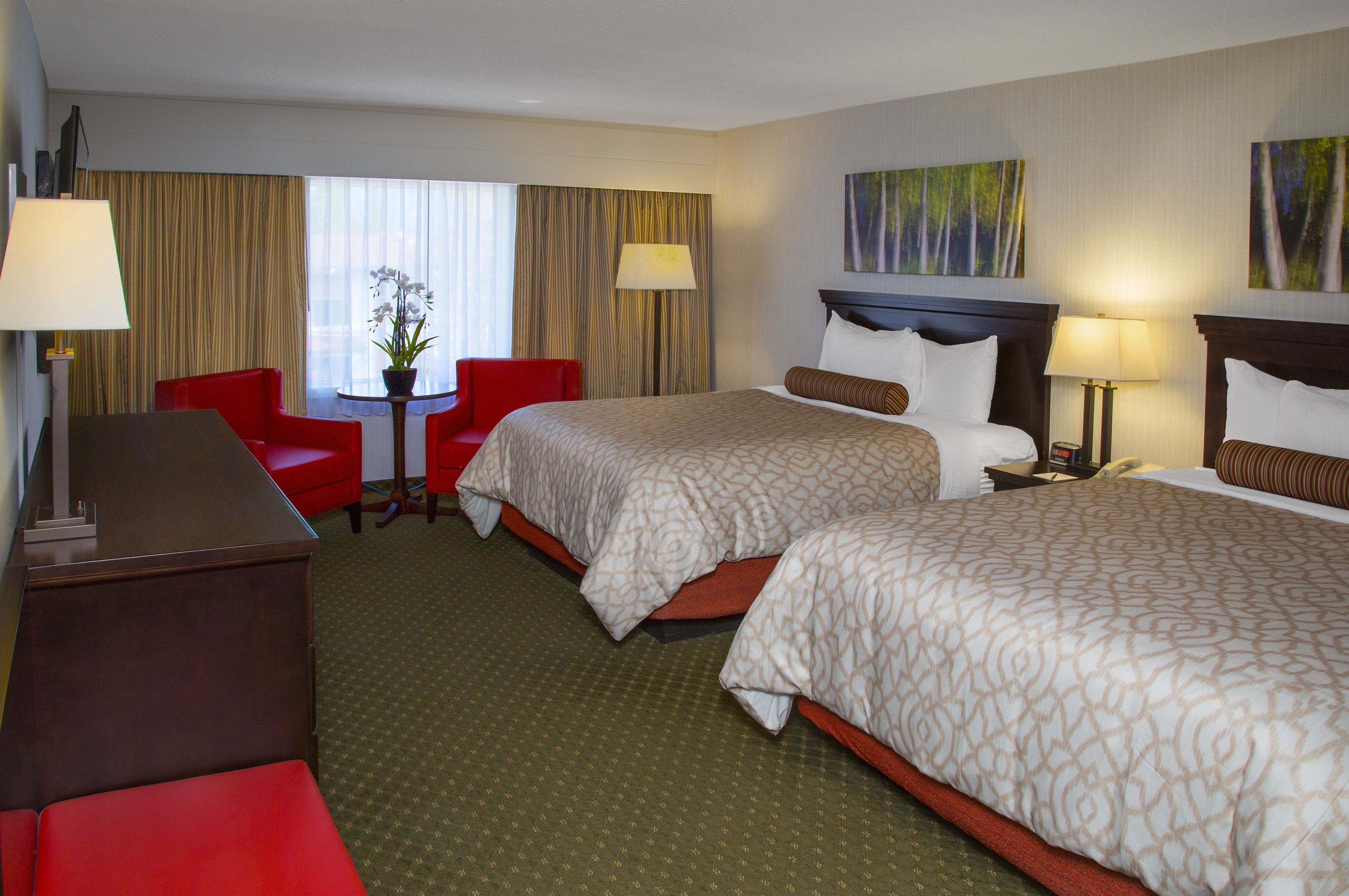 studio, 2 queen beds | 1 bedroom, in-room safe, blackout curtains, iron/ironing board