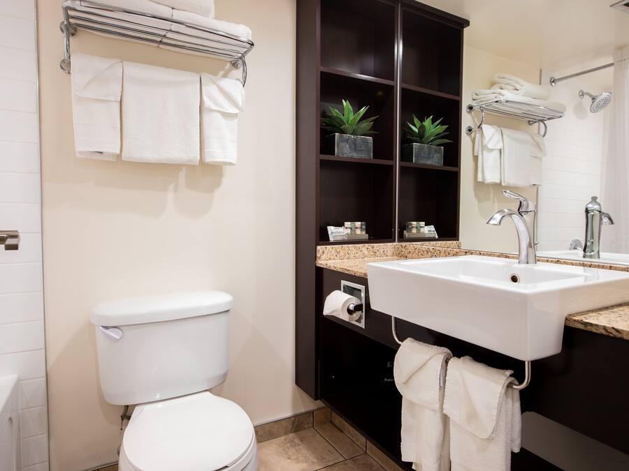 A modern bathroom with a white toilet, a sink with a granite countertop, and a mirror above the sink. There are shelves with plants and towels.