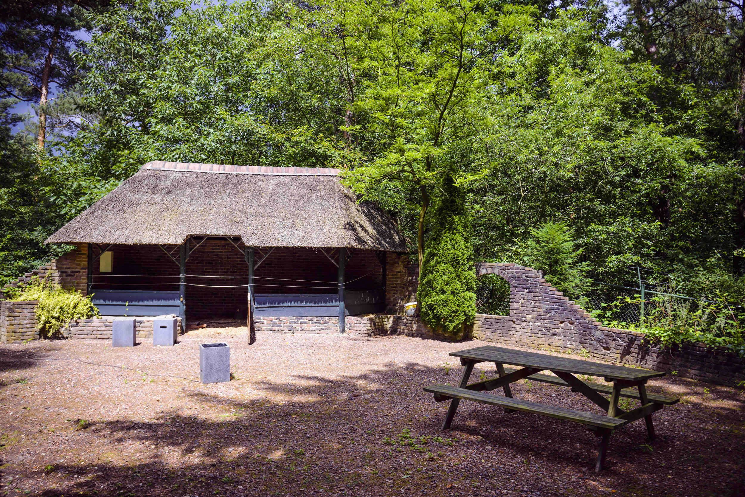 A rustic building with a thatched roof, surrounded by dense greenery.