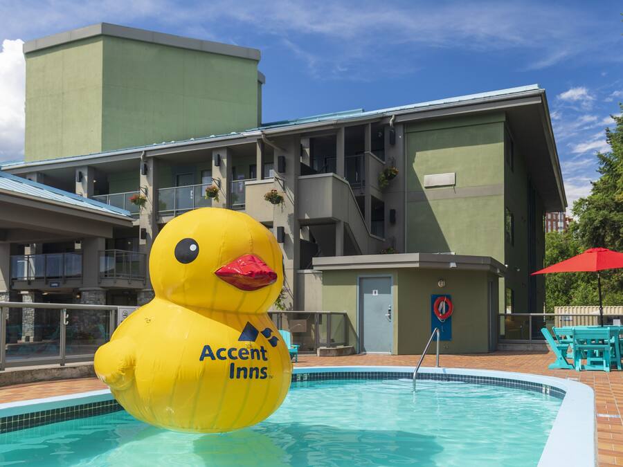 A pool area with a large inflatable duck and a red umbrella.