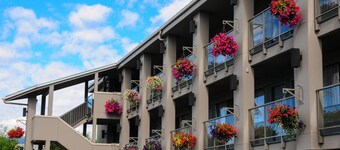 액센트 인스 킬로나