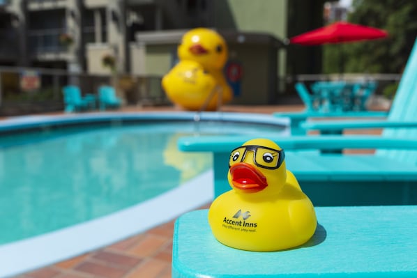 Seasonal outdoor pool, sun loungers