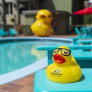 Accent Inns Kelowna