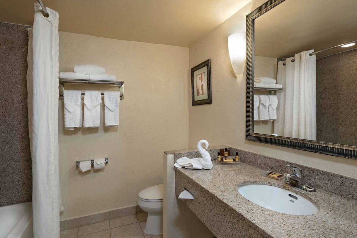 Ducha y bañera combinadas y artículos de higiene personal gratuitos