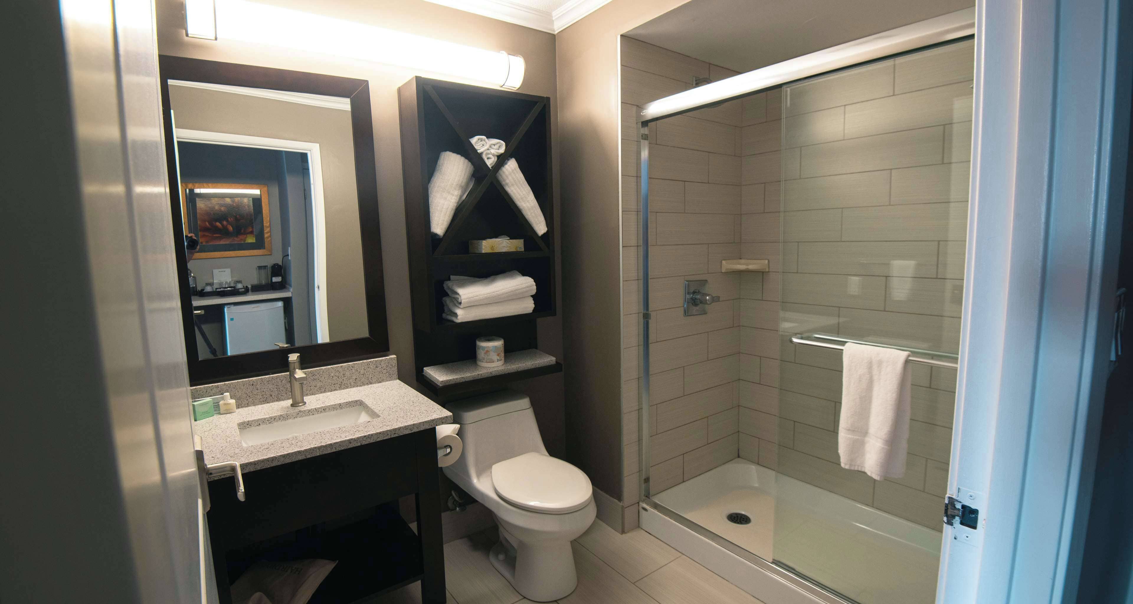 Et stilfuldt badeværelse med toilet, håndvask og brusekabine med glasvægge.