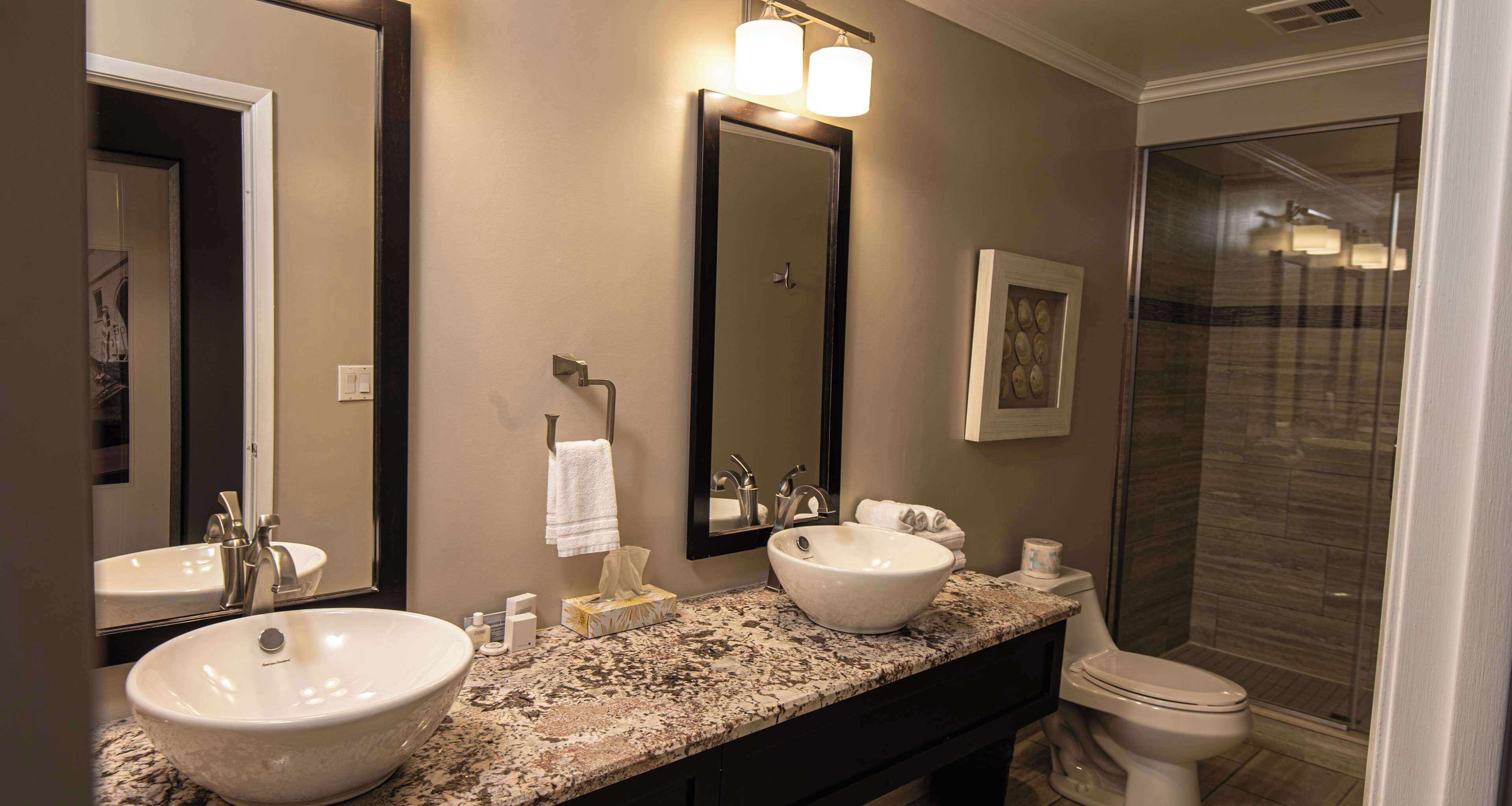 suite, 1 king bed, non smoking, jetted tub (separate living room;with sofabed) | bathroom | shower, rainfall showerhead, free toiletries, hair dryer