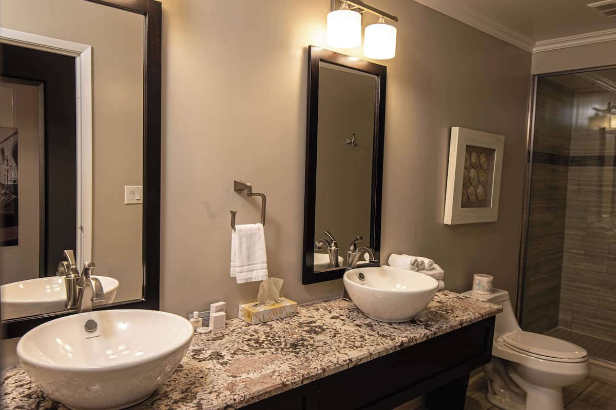 suite, 1 king bed, non smoking, jetted tub (separate living room;with sofabed) | bathroom | shower, rainfall showerhead, free toiletries, hair dryer