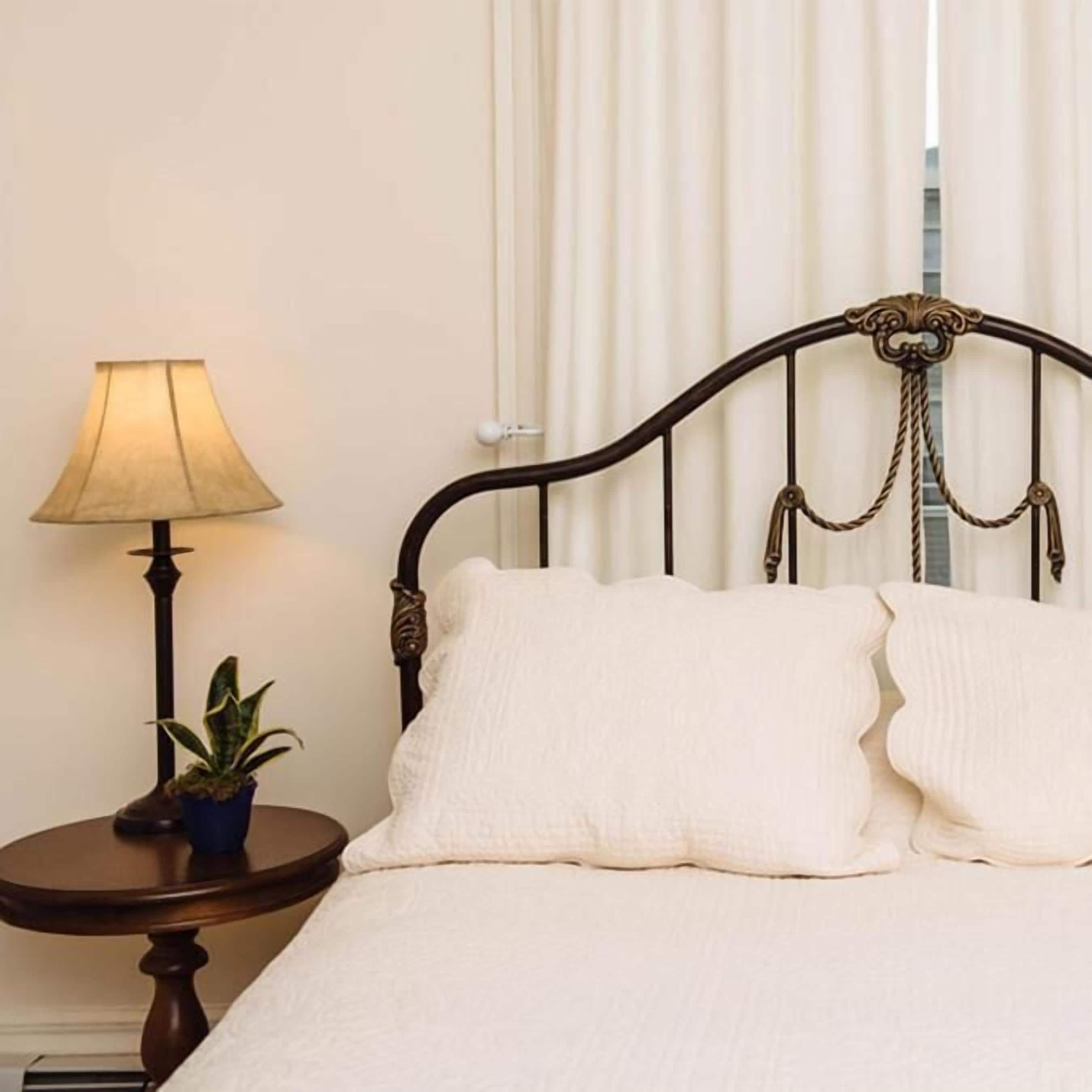 A bed with a dark metal headboard, a bedside table with a lamp, and a potted plant.