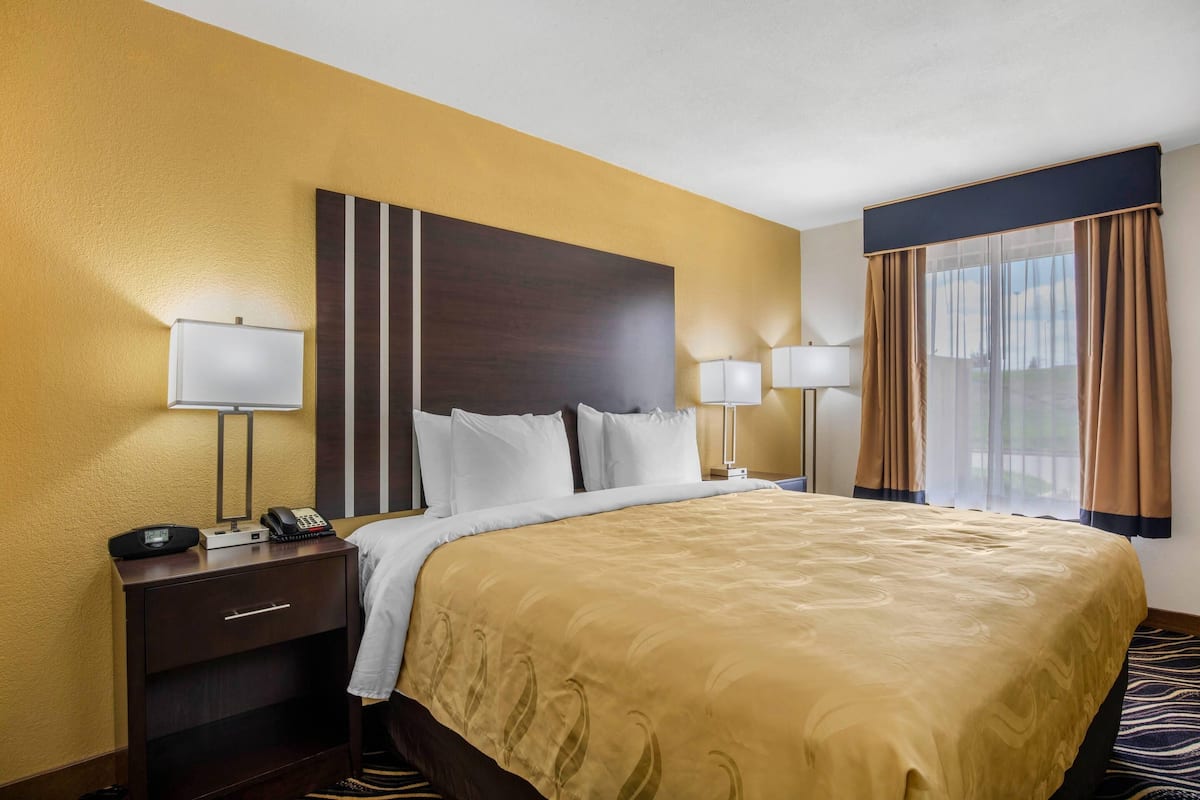 Standard Room, 1 King Bed, Non Smoking | Desk, laptop workspace, blackout drapes, soundproofing
