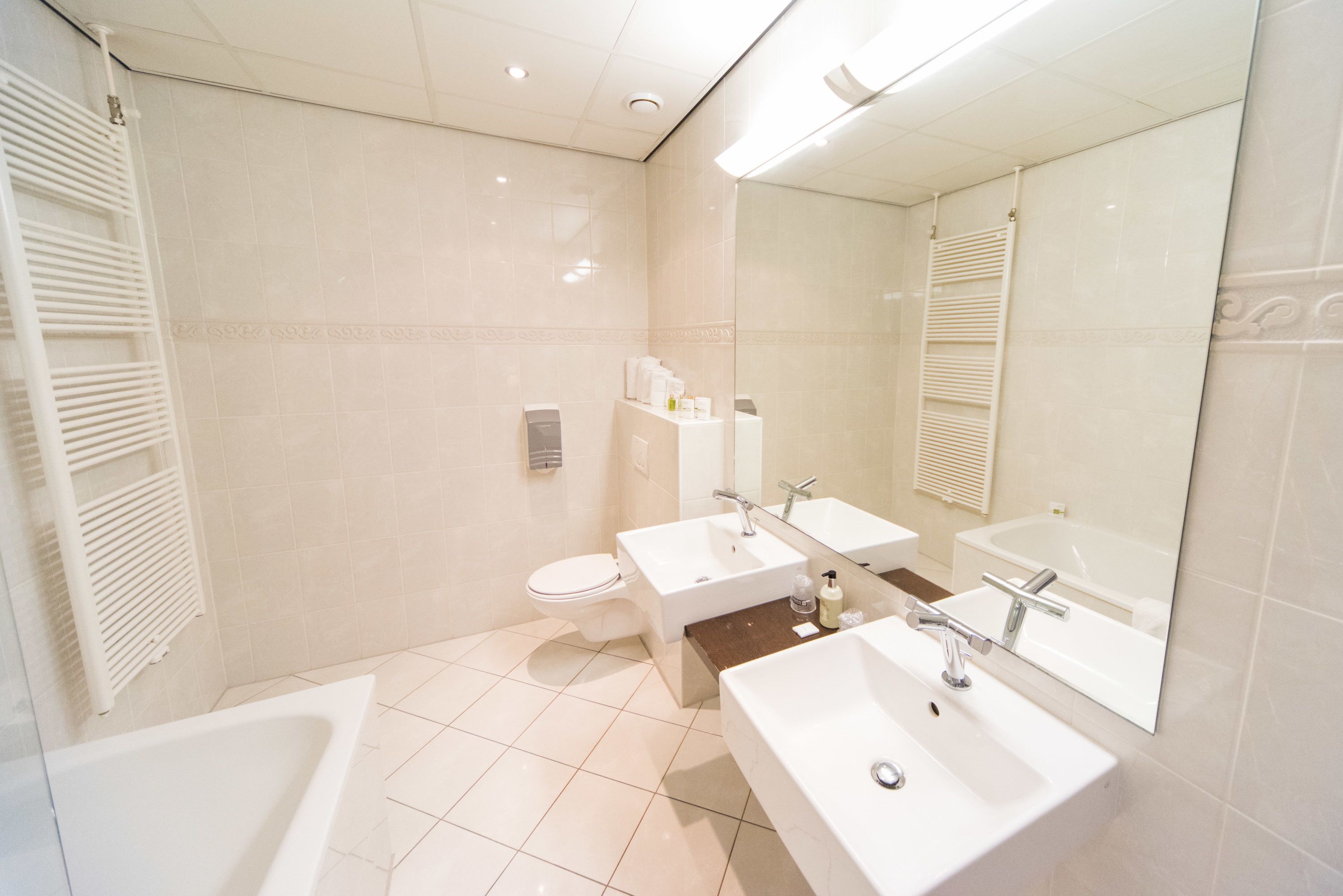 deluxe suite, 1 king bed, non smoking, bathtub (twin bed on request) | bathroom | shower, free toiletries, hair dryer, towels