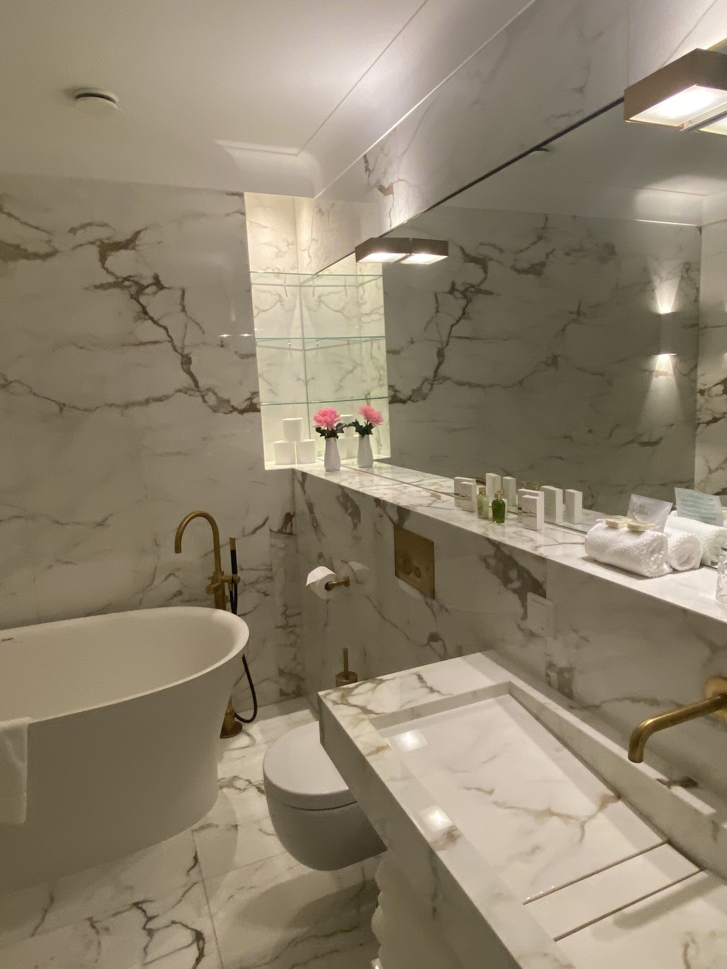 Een douche, gratis toiletartikelen, een haardroger, handdoeken