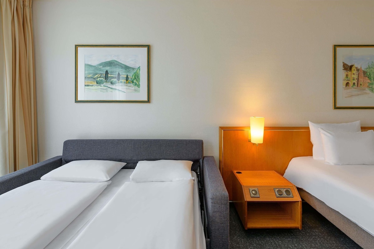 Chambre Supérieure, 1 lit double et 1 canapé-lit | Literie hypoallergénique, minibar, bureau, rideaux occultants