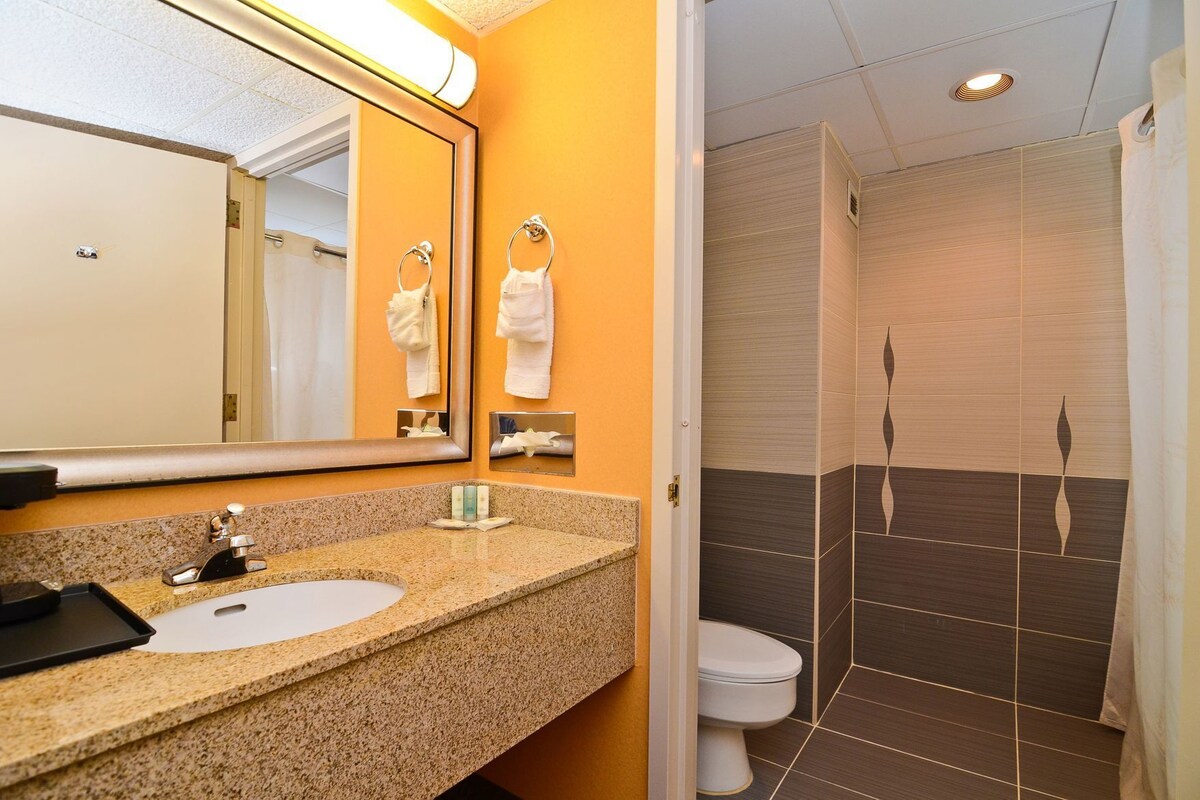 Une salle de bain avec un lavabo, un miroir et des toilettes.