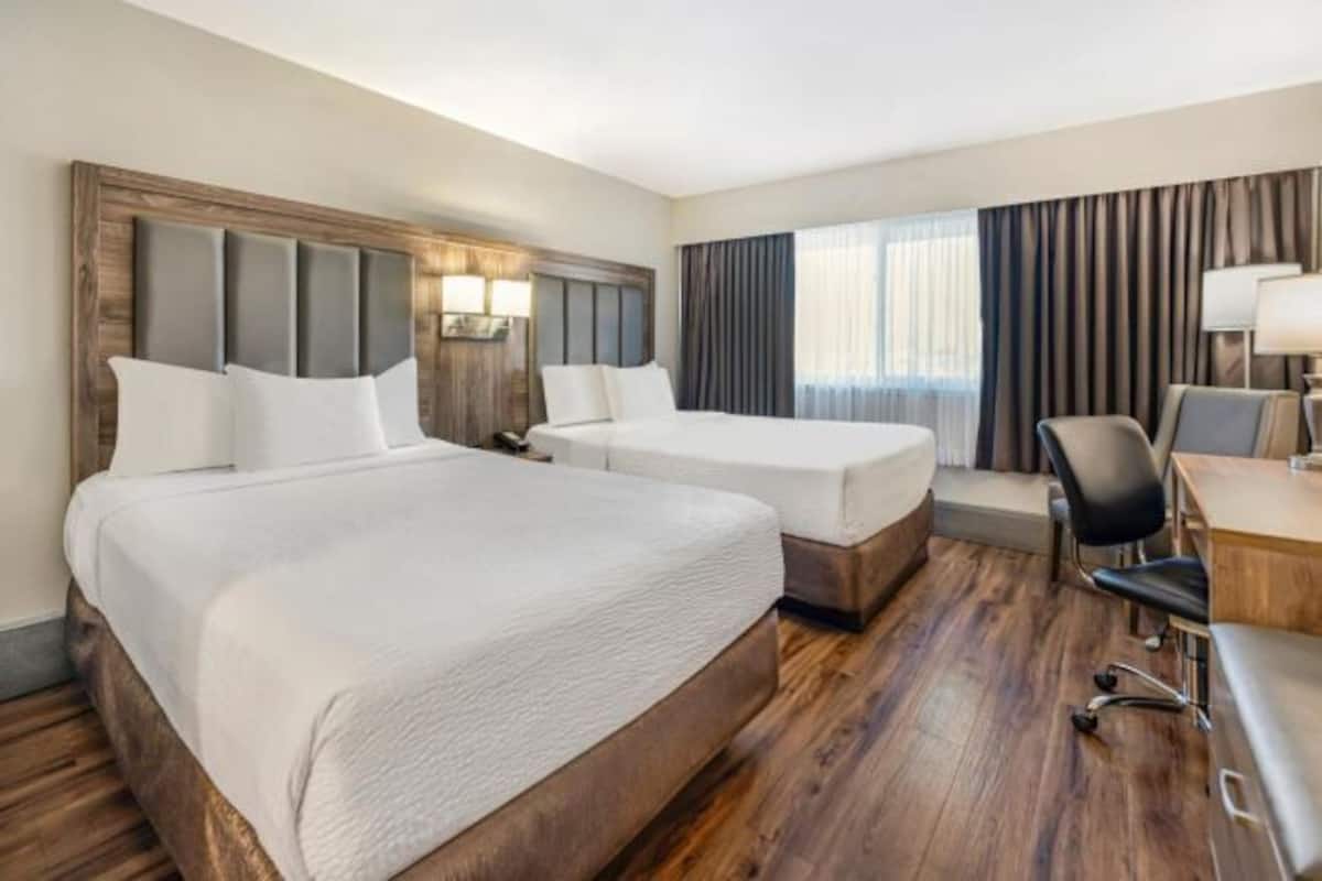 Coffres-forts dans les chambres, bureau