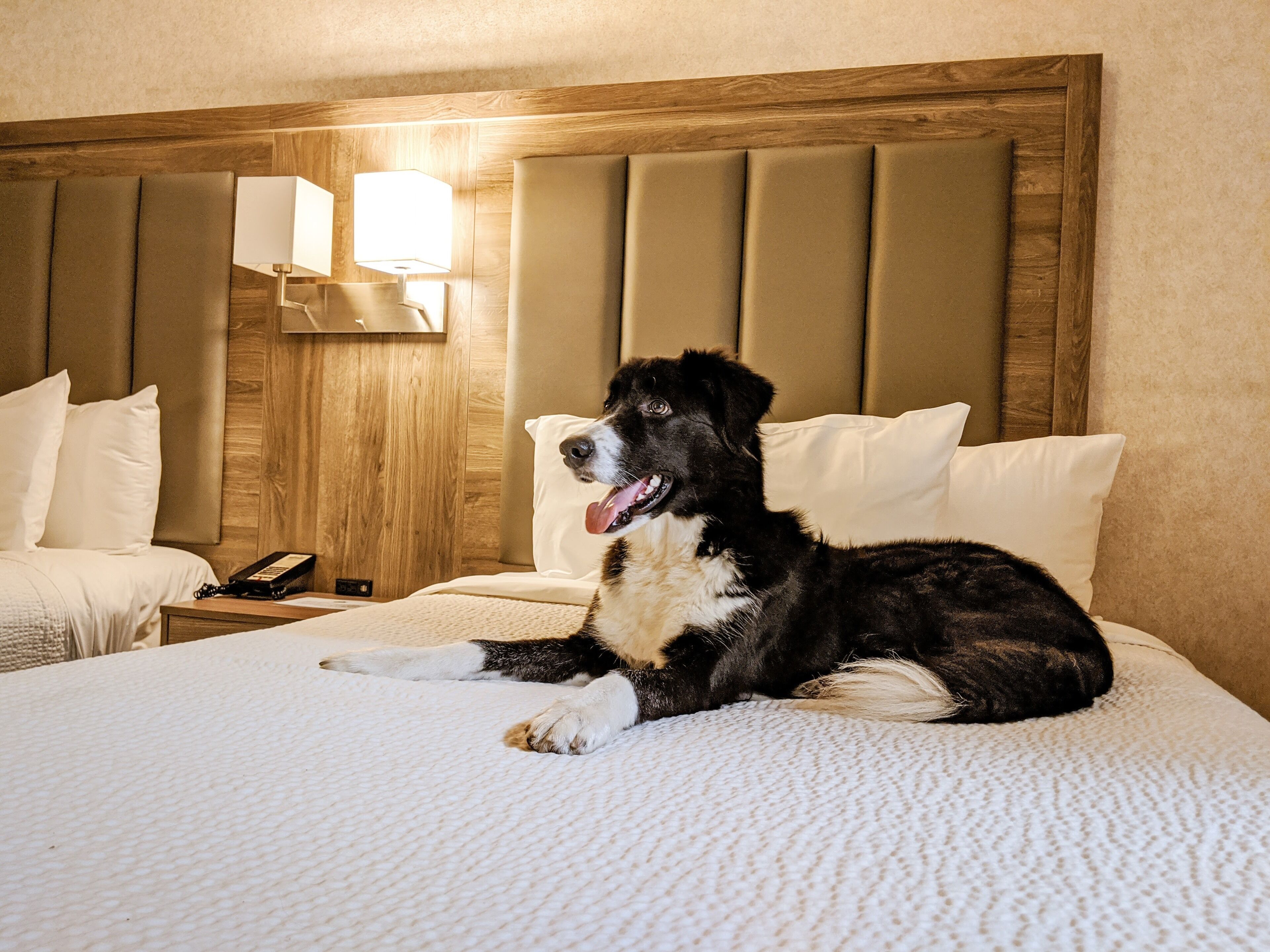 Photo - Days Inn by Wyndham Victoria On The Harbour