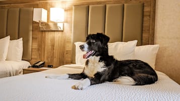 Ein Hotelzimmer mit einem Bett, einem Nachttisch mit Lampe und einem Telefon.