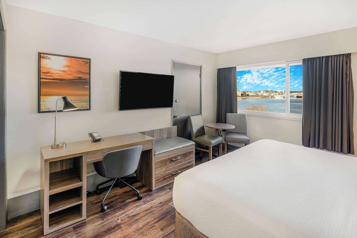 A hotel room with a bed, desk, chair, TV, and a view of the city through the window.