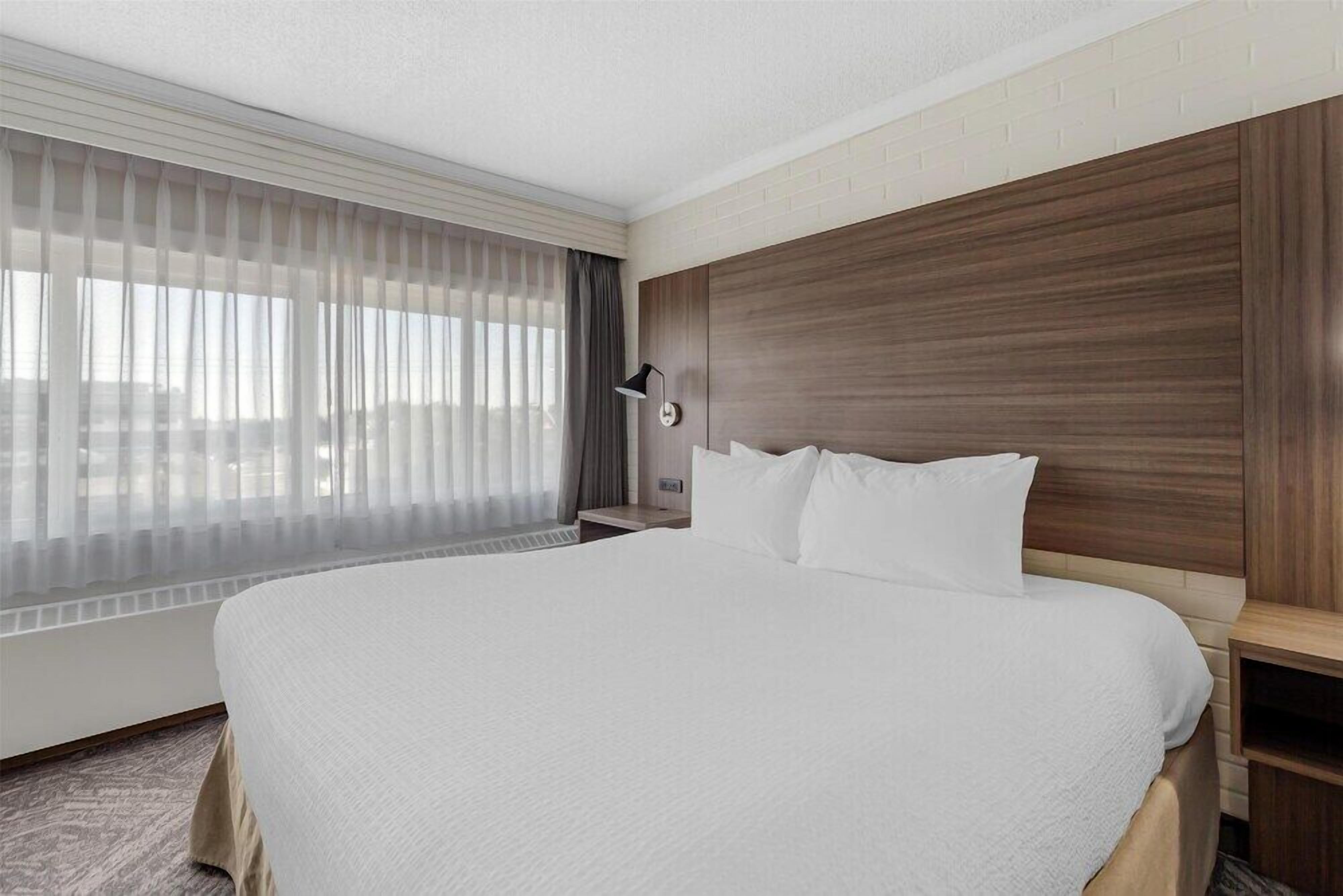 Ropa de cama de alta calidad, edredones de plumas, decoración individual