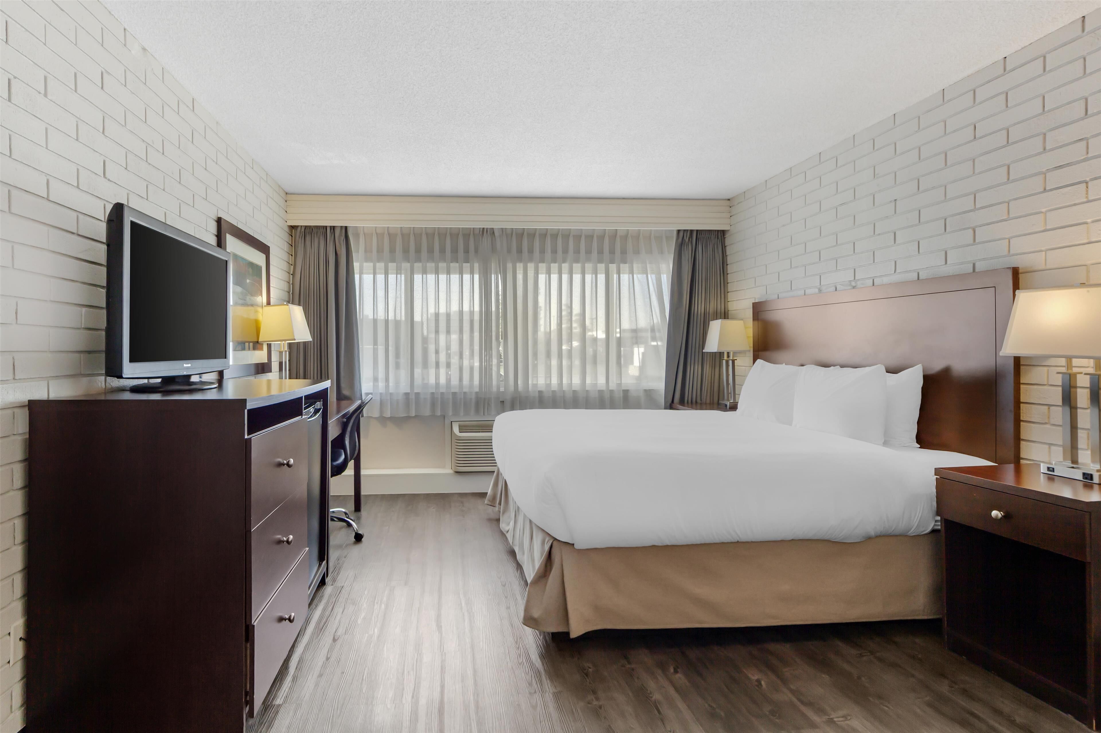 Standard Room, 1 Katil Raja (King), Non Smoking, Refrigerator (Pet Friendly) | Peralatan tempat tidur premium, gebar bulu kapas, meja 